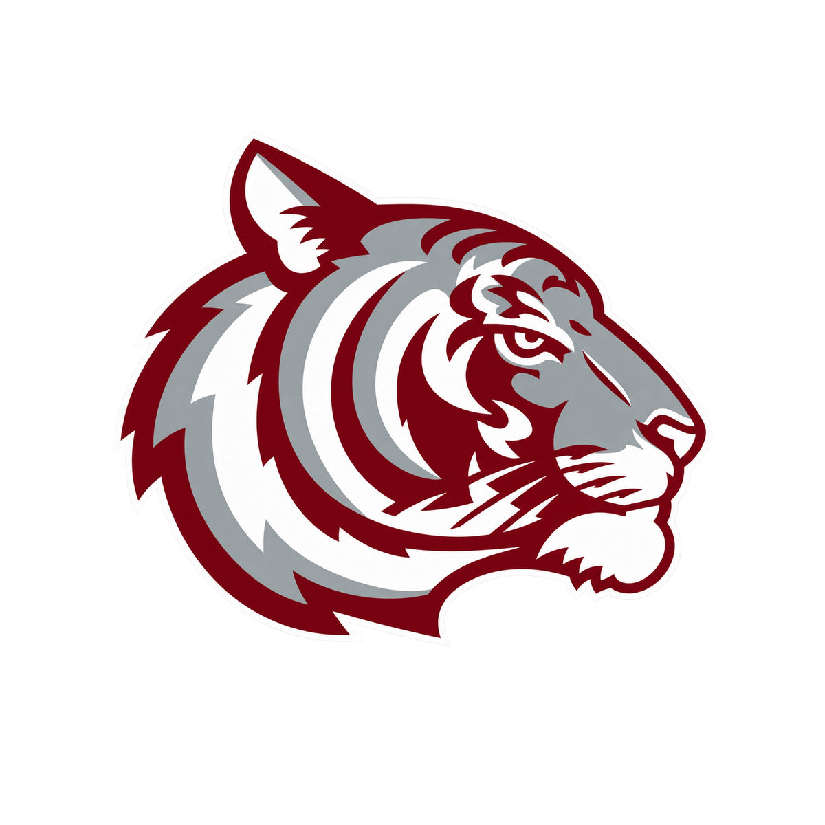 AUSTIN TIGERS