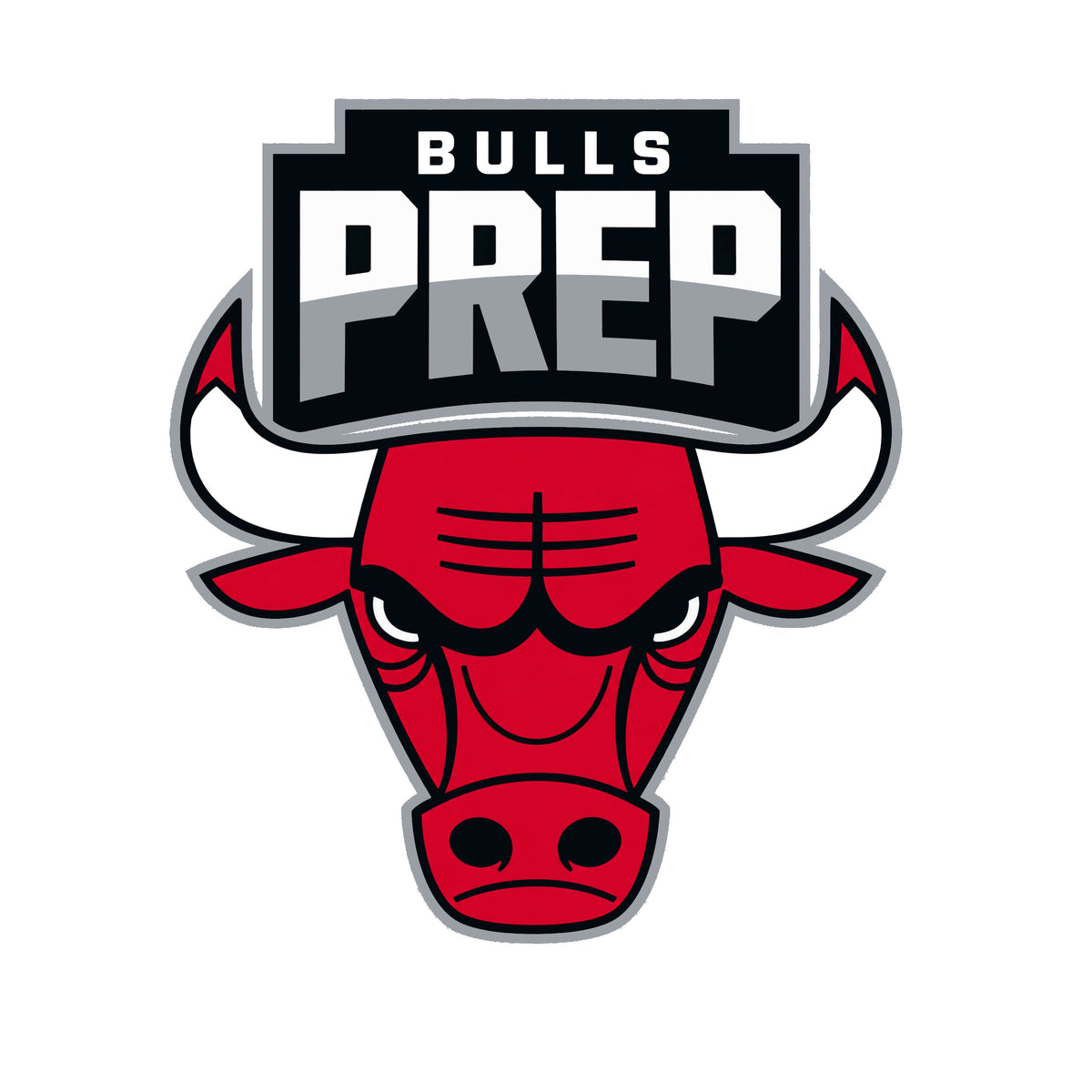 CHICAGO BULLS COLLEGE PREP